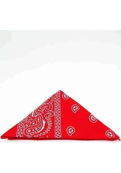 Shopiolog Unisex Etnik Desenli Bandana