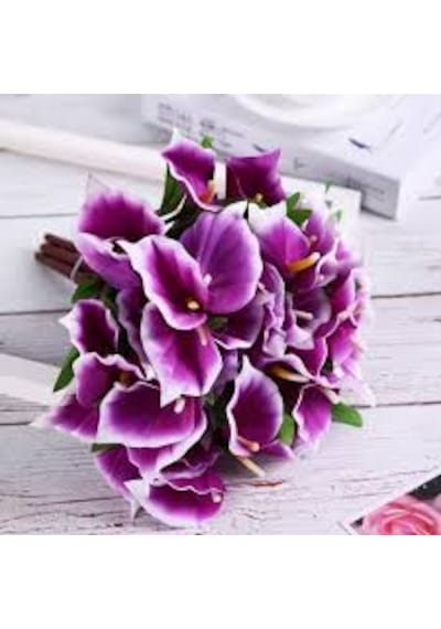 5 Adet Tohum Nadir Mor Calla Çiçeği Tohumu Tohum