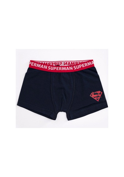 Superman Lisanslı Erkek Çocuk 2'li Boxer Seti Çok Renkli