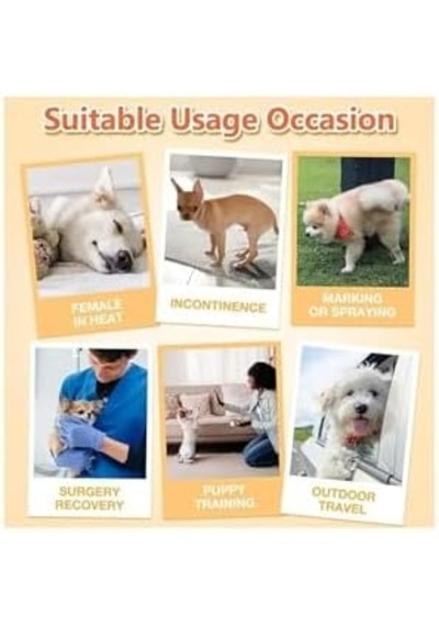 Petsoft Köpek Tuvalet Bez Kedi Tuvalet Bez Çiş Bezi X-large 12 Adet