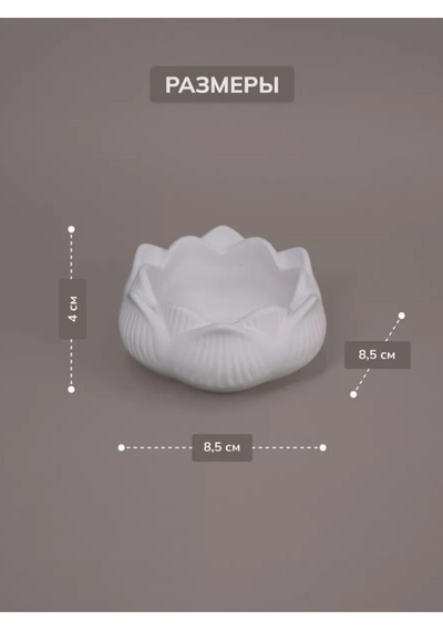 Lotus Beton Dekor Seti Estetik Ve Zarafetin Buluşması