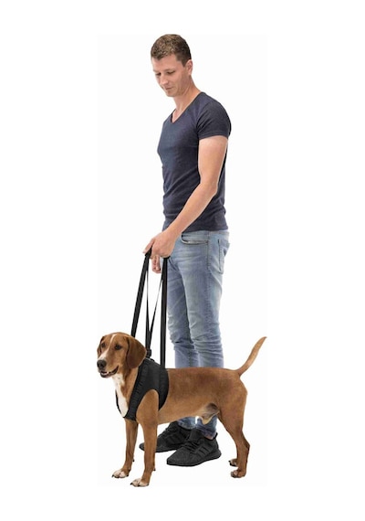 Trixie Köpek Yürüteci. Yardımcısı M:55-65cm. Siyah
