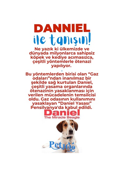 Petjoo 21.Danniel Mavi-Kırmızı Qr'lı Köpek Künyesi