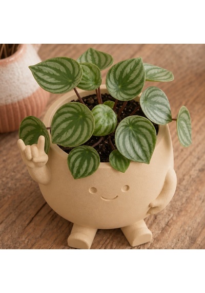 3d Baskı Smiley Face Planter - Gülümseyen Karakterli Saksı-bej Çok Renkli