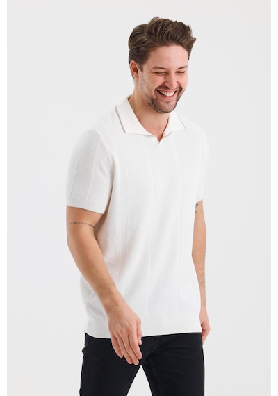 Alexander Gardi Alexandergardı Çizgili Polo Yaka Regular Fit T-shırt E24-eze-32 001