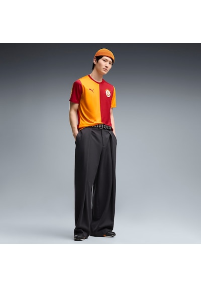 Puma Galatasaray 26/27 Erkek İç Saha Forması 784991 01 Kırmızı