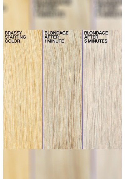 Redken Blondage Turunculaşma Karşıtı Mor Şampuan 300ml