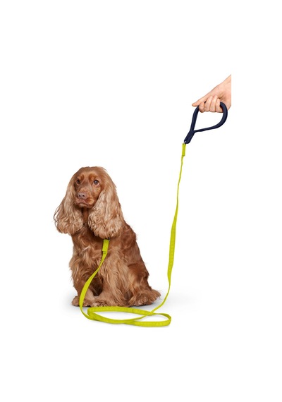 Köpek Tasması, Reflektörlü Lacivert