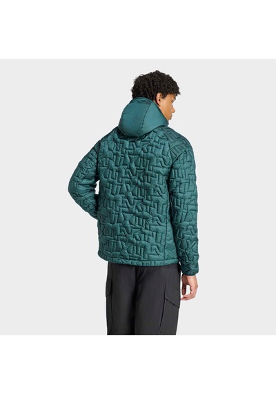 Adidas Terrex Xperior Primaloft Erkek Yeşil Mont Jl9744 Yeşil