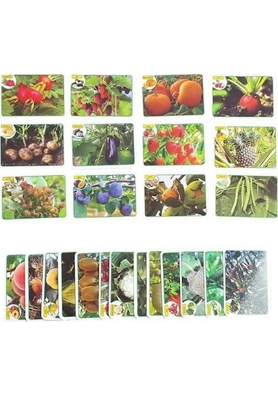 İlk 50 Meyve - Sebze Flash Cards Hafıza Kartları