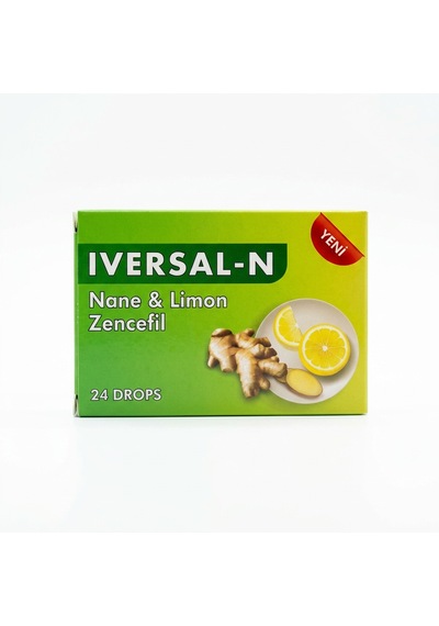 Iversal N Nane Limon Zencefilli Pastil 60 G 24'lü Kutu