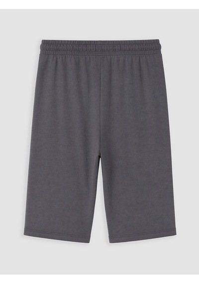 Lc Waikiki Lc Waıkıkı Gri Standart Kalıp Erkek Pijama Alt Şort