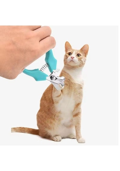 Yaylı Kedi Ve Küçük Irk Köpek Tırnak Makası