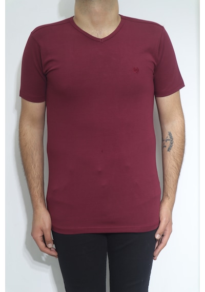 Santa Dmctekstil Erkek Düz Spor Kesim Dar Kalıp V-yaka T-shirt Bordo