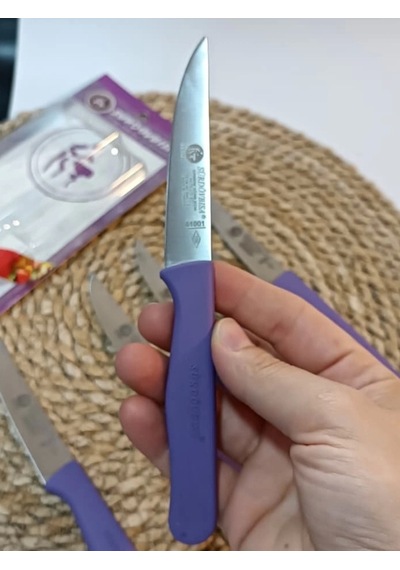 Sürdövbisa 61010 6'lı Meyve Seti Sivri Uç Mor