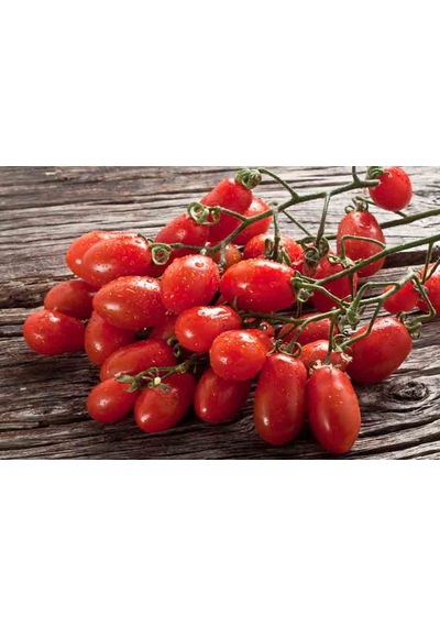 20+ İtalyan San Marzano Sosluk Domates Tohumu N114620