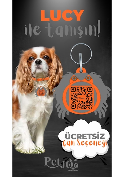 Petjoo 11.Lucy Gri-Turuncu Qr'lı Köpek Künyesi