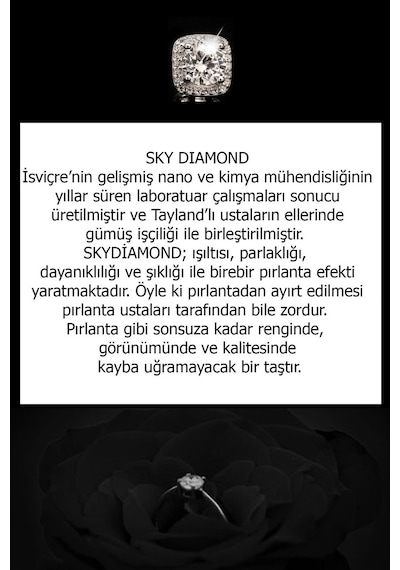 Sky Diamond Taşlı Gümüş Rose Kolye (474423193)