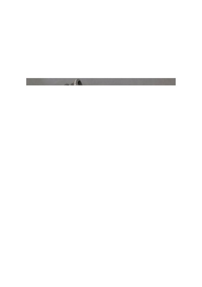 1 Adet 25 Metre Cata Ct 4497 Dış Mekan 120 Ledli Yapışkanlı 220v Şerit Led Amber Işık