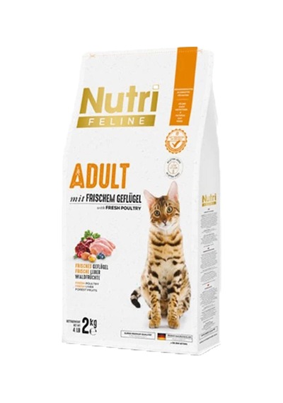 Nutri Feline Adult Frıschem Salmon 2kg Somonlu Yetiskin Kedi Maması