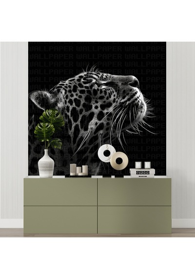 Siyah Beyaz Jaguar Poster Duvar Kağıdı Renkli