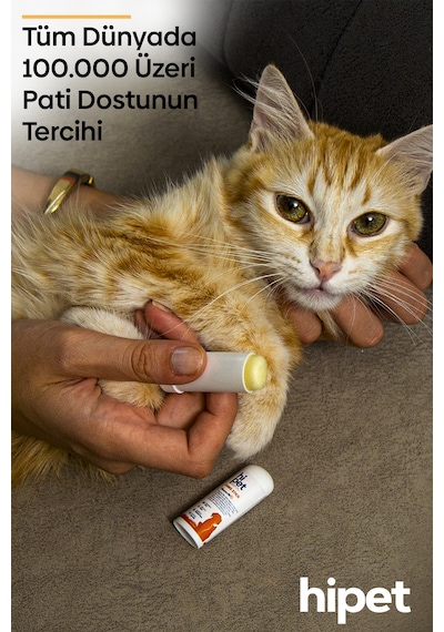 Hipet Kedi Jojoba Pati Stick 5 G