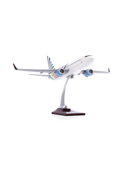 Zekupp - Maket Uçak - Boeing 737-800 1/100 - RENKLİ ÖZEL TASARIM Model Uçak