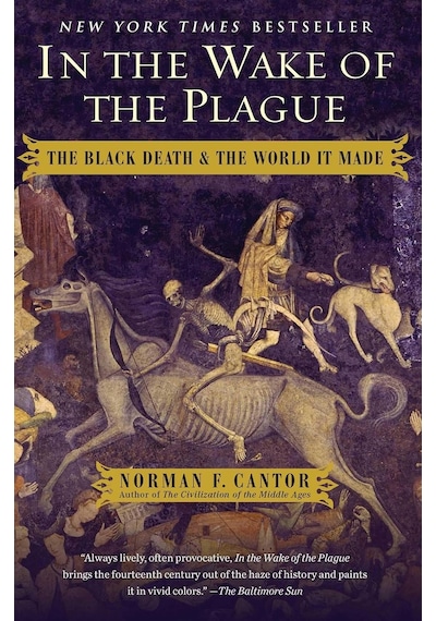 In The Wake Of The Plague: The Black Death And The World It Made