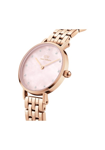 Daniel Wellington Dw00600617 Kadın Kol Saati Diğer