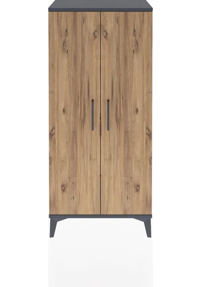 Arges Dolap 2 Raflı 2 Kapaklı 60x30x134 Antrasit-çam Antrasit