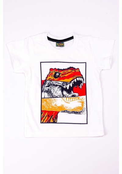 Hçm Erkek Çocuk Tshirt Dinozor Baskılı A28 Mavi