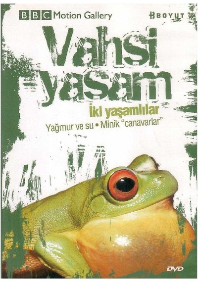 Bbc Motion Gallery - Vahşi Yaşam İki Yaşamlılar Yağmur Ve Su Minik Canavarlar - Dvd