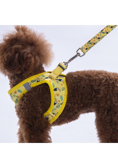Tropical Breeze Göğüs Tasması Ve Sevk Kayışı Tasma Seti Papağan Desenli Kedi Köpek Göğüs Tasması Seti Sarı