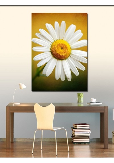 Kanvas Tablo Papatya Ve Saflık 70cmx100cm