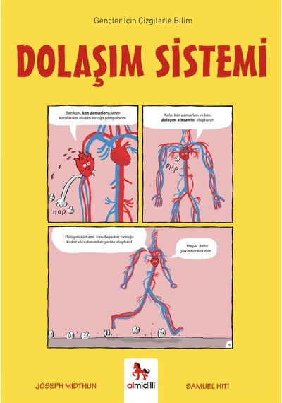 Dolaşım Sistemi - Gençler İçin Çizgilerle Bilim Almidilli Yayınları