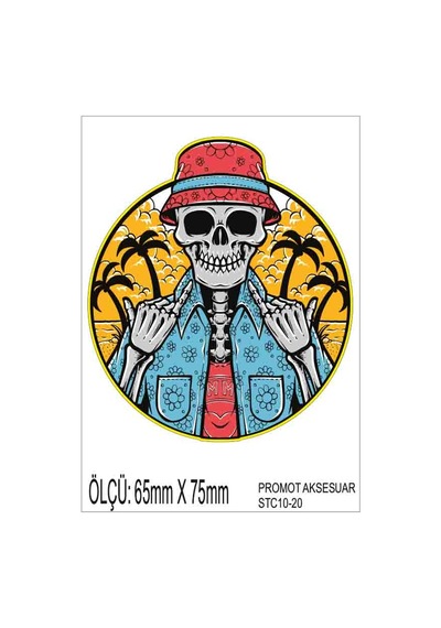 Motorsiklet Otomobil Sticker 2 Adet 020