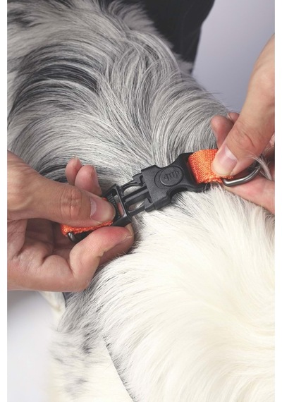 M-pets Wıld Jungle Harness L