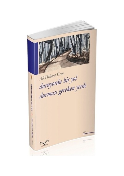 Duruyordu Bir Yol Durması Gereken Yerde - Ali Hikmet Eren - MedaKitap