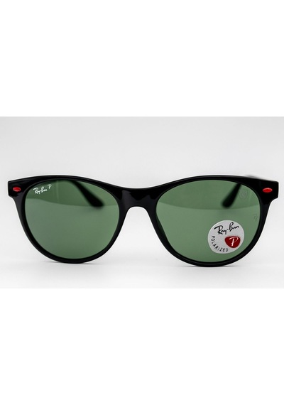 Rayban Rb 2202-m F601/31 54-19 Polarize Unisex Güneş Gözlüğü Diğer