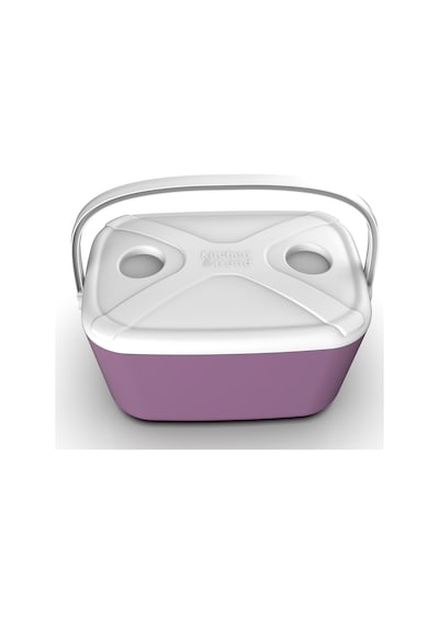 20 Lt Buzzy Buzluk Termos 1179 Cooler Box Pembe