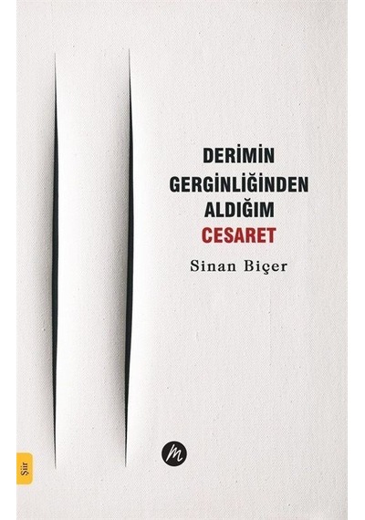 Derimin Gerginliğinden Aldığım Cesaret - Sinan Biçer - Mahfel Yayıncılık