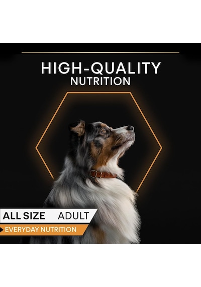 Yetişkin Köpekler İçin Hindili Konserve Yaş Mama 400 Gram