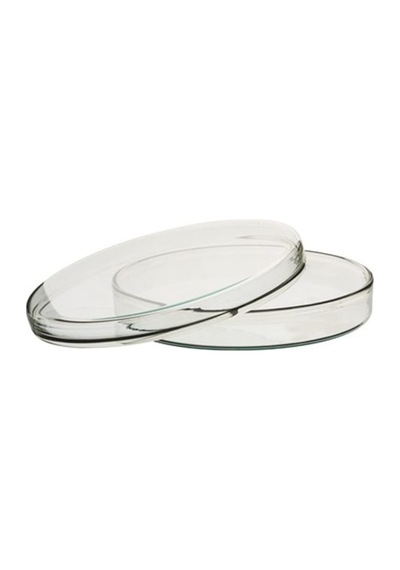Petri Kabı. Plastik. 90Mm. 20/Paket