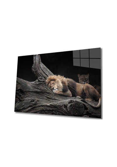 Aslan Cam Tablo