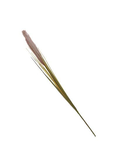 Pasabahce Grass 92 Cm Kahverengi - 1 Adet Kahve