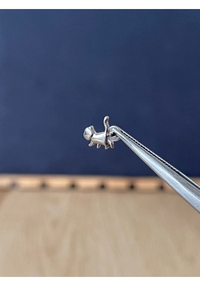 %100 G23 Titanyum Kedi Titanyum Model Titanyum Labret Kıkırdak Piercing Antra Melanj