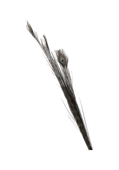 Pasabahce Peacock 136 Cm - 1 Adet Cok Renkli