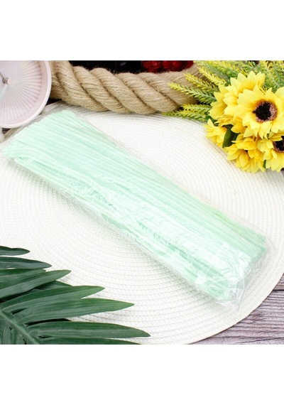 25 Adet Su Yeşili Şönil, Çiçek Yapımına Uygun Mint Yeşil Tüylü Tel, 30 Cm 6mm