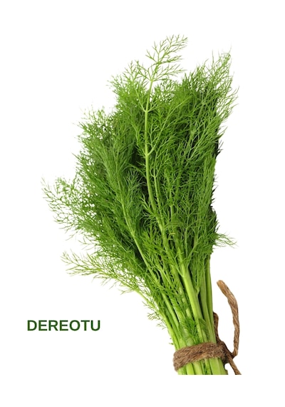 Yeşillik Tohumları Maydanoz, Tere, Roka, Dereotu 20 Gr.' Lık Paketlerde 20 Gr.