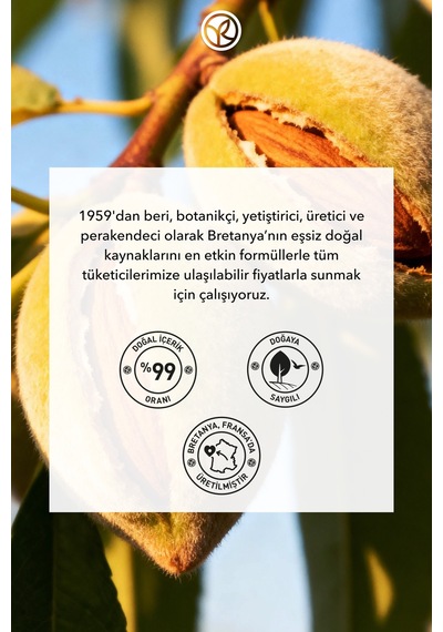 Yves Rocher Ekspres Oje Çıkarıcı 100ml - Tırnak Dostu & Vegan